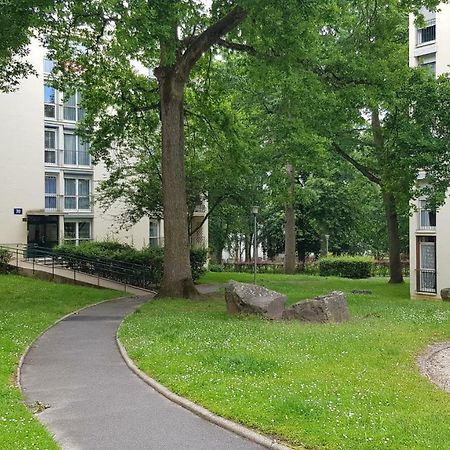 Studio En Face De La Foret De Fontainebleau آفو المظهر الخارجي الصورة